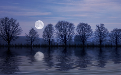 The 2025 Moon Guide: Seasons, Stories and Celebrations